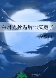 白月光死遁后他疯魔了