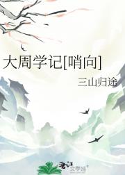 大周学记[哨向]