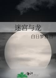 迷宫与龙