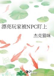 漂亮玩家被NPC盯上