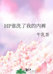 HP谁洗了我的内裤