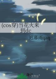 (cos穿)当花火来到dc