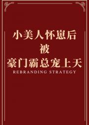 小美人怀崽后被豪门霸总宠上天