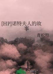 [HP]诺特夫人的故事