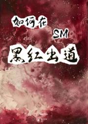 【韩娱】如何在SM黑红出道