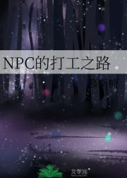 NPC的打工之路