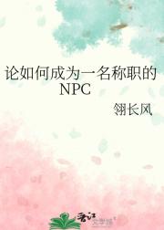 论如何成为一名称职的NPC