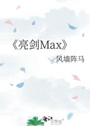 亮剑Max