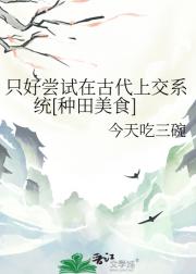 只好尝试在古代上交系统[种田美食]