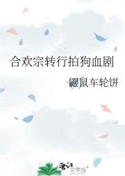 合欢宗转行拍狗血剧