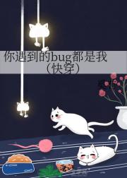 你遇到的bug都是我（快穿）