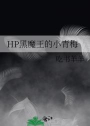 HP黑魔王的小青梅