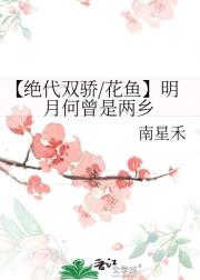 【绝代双骄/花鱼】明月何曾是两乡