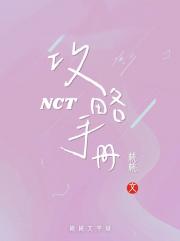 韩娱NCT之攻略手册