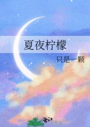 夏夜柠檬