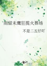 雨留未鹰狂揽火葬场