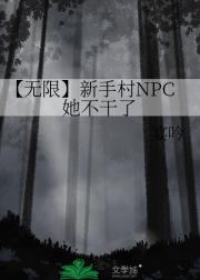 【无限】新手村NPC她不干了