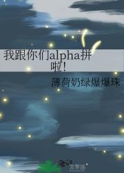 我跟你们alpha拼啦！