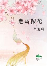 走马探花