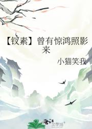 【钗素】曾有惊鸿照影来