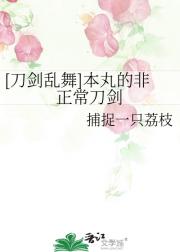 [刀剑乱舞]本丸的非正常刀剑