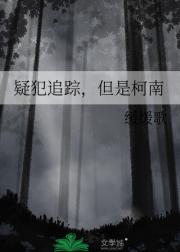 疑犯追踪，但是柯南