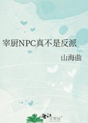 宰厨NPC真不是反派