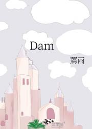 Dam