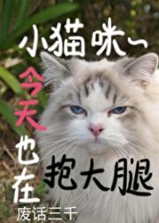 小猫咪今天也在抱大腿