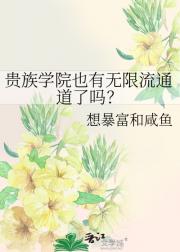 贵族学院也有无限流通道了吗？