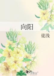 向阳