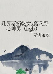 凡界落拓乾女x落凡野心坤男（bgb）