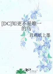 [DC]知更不是唯一的鸟