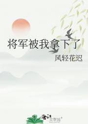 将军被我拿下了