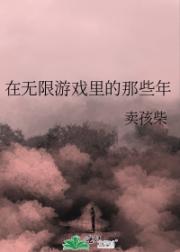 在无限游戏里的那些年