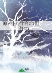 [原神]执行官cb但有cp