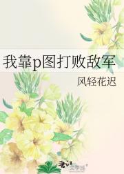 我靠p图打败敌军