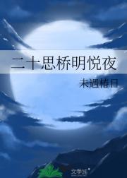 二十思桥明悦夜