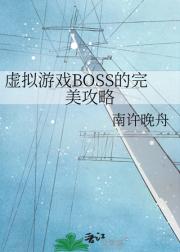 虚拟游戏BOSS的完美攻略