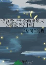 你就是那部漫画里最大的反派吗？[综]