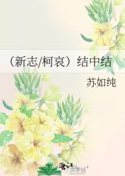 柯南同人之结中结