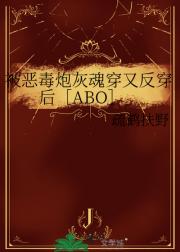 被恶毒炮灰魂穿又反穿后［ABO］