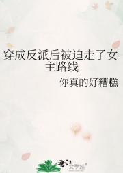 穿成反派后被迫走了女主路线