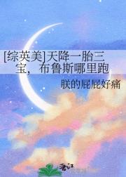 [综英美]天降一胎三宝，布鲁斯哪里跑