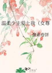 温柔少主爱上我（女尊）