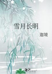 雪月长明