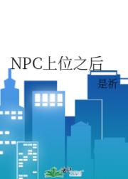 NPC上位之后