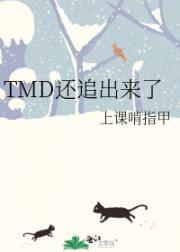 TMD还追出来了