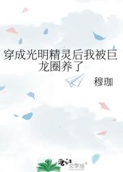 穿成光明精灵后我被巨龙圈养了