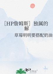 ［HP詹姆斯］独属的解